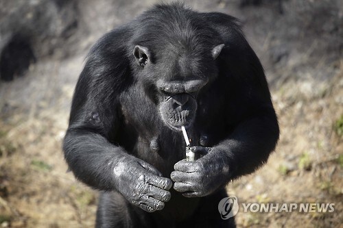 "재밌으면 영화관 영화관 가주잖아" 의 맹점