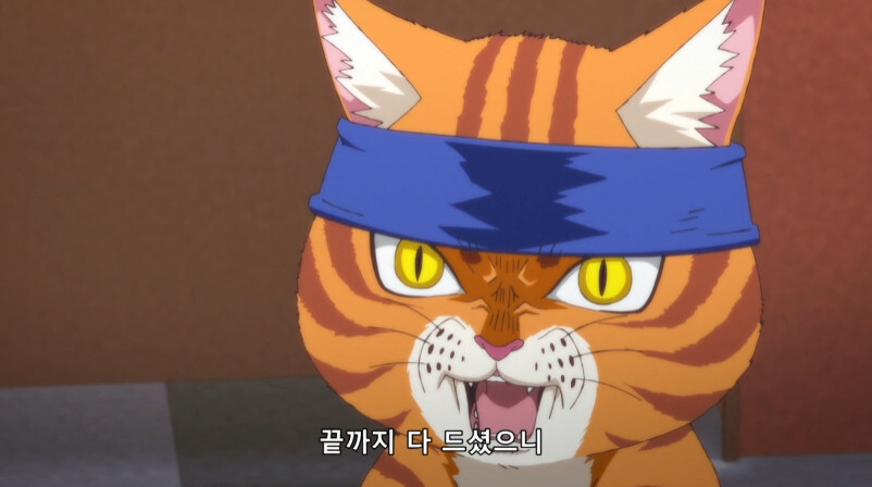 털뭉치가 운영하는 점포에서 깝치면 안되는 이유 . JPG