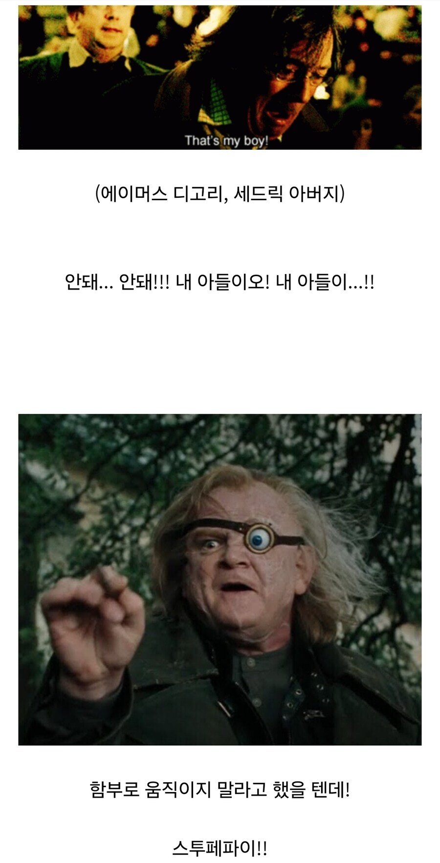 저격) 내 애착작품에 자꾸 왜곡질하는 유게이 저격함