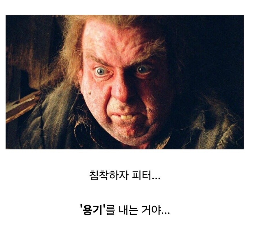 저격) 내 애착작품에 자꾸 왜곡질하는 유게이 저격함