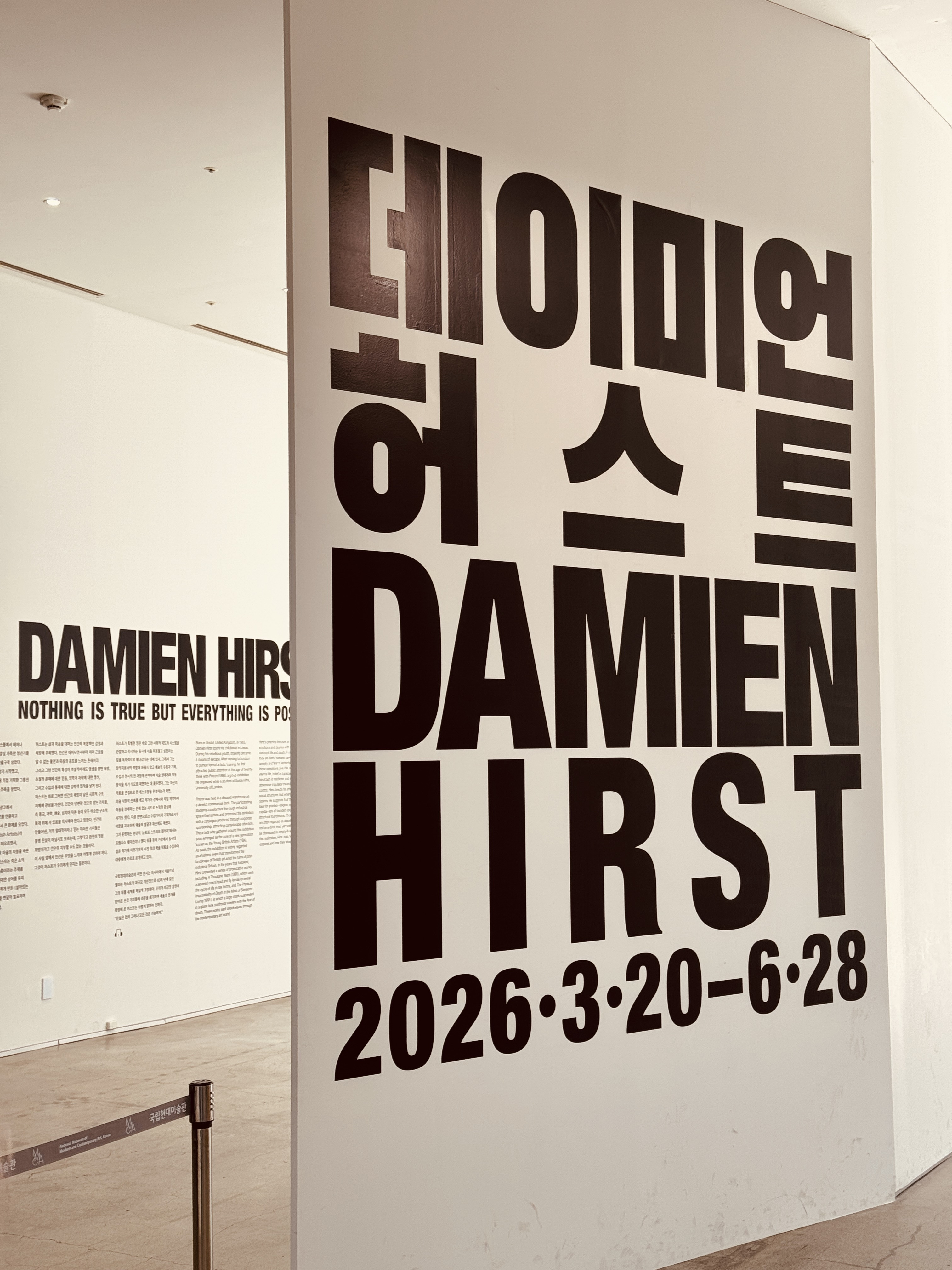 국현미에서 데미안 허스트 전시 보고 왔습니다 (작품 사진 유..)