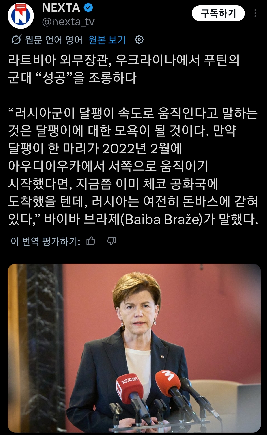 푸틴 돌리는 라트비아 외무장관