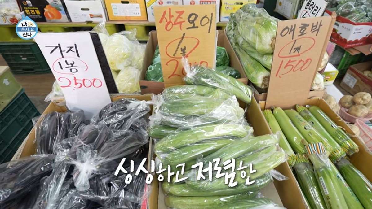 행색은 취향이 아닌데 라이프스타일이 너무 취저였던 저번주 나혼산 출연진