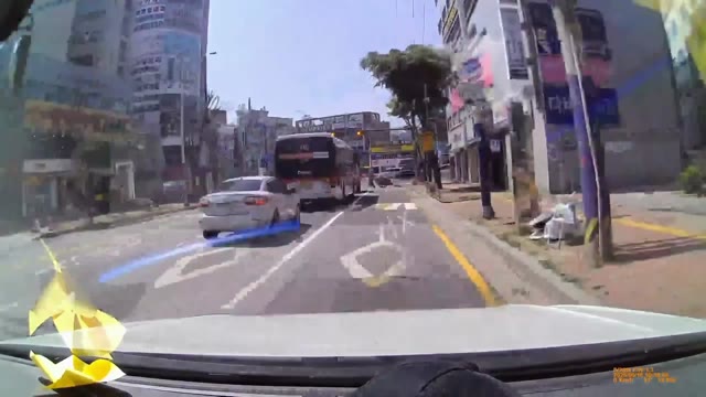 횡단보도에서 난감한 상황.gif