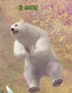 니나브 순결에 대한 고찰