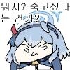 평화조약이면 침략안하고 걍 정략결혼하면 안됨?