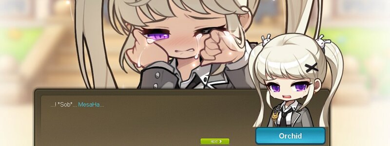 충격적인 MSEA 오르카 메연시 스토리