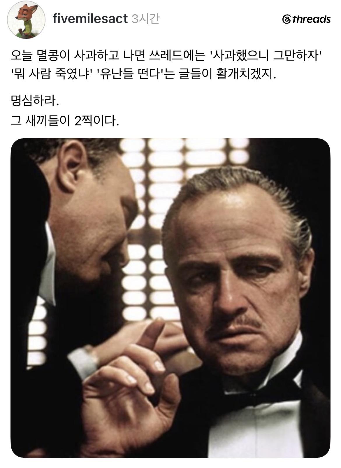 멸콩이 사과했다?