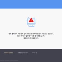 '삼전·닉스 2배 베팅'.레버.출격에..서버 다운