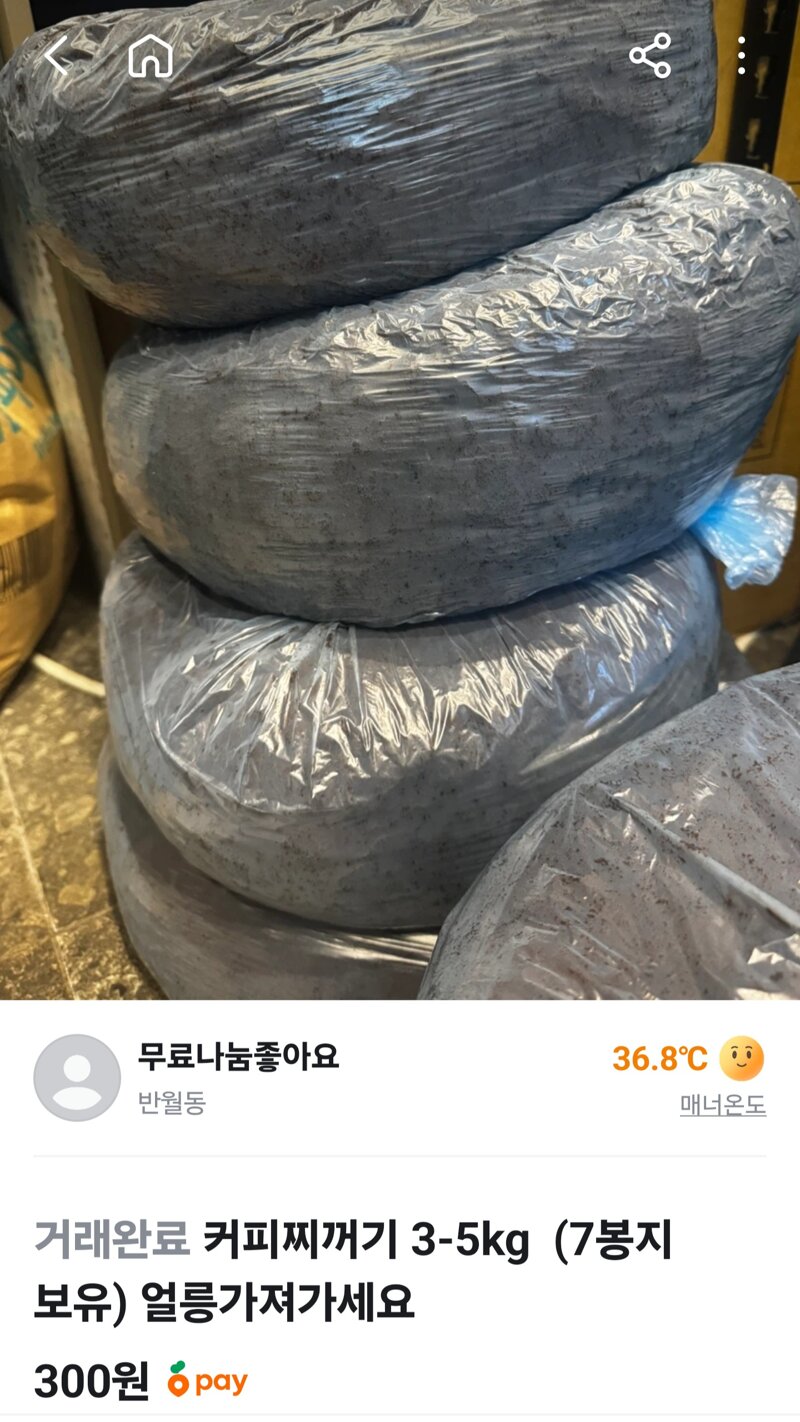 이거 컴포즈 사장이 당근하는거 아님?