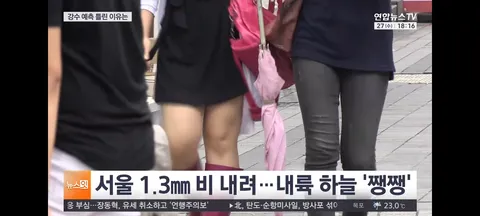 강수량 많이 빗나간 이유