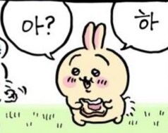 화장품 얘기 나온김에 내 파우치