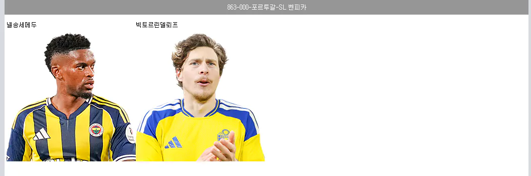 신규시즌 모든 미페