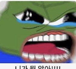 한국군 근황.