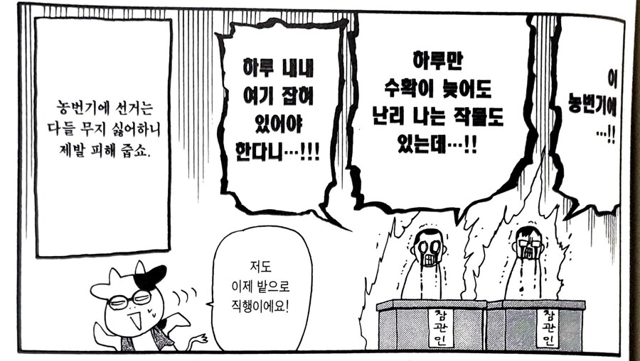 시골 지역 선거 참관인의 고충