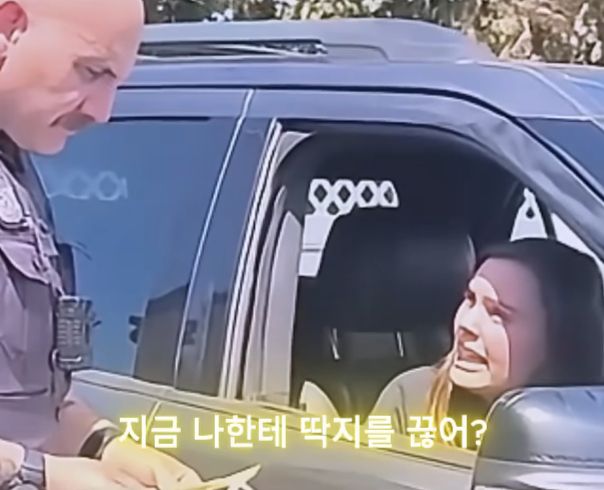 패드립아닌 경찰관의 팩트폭격