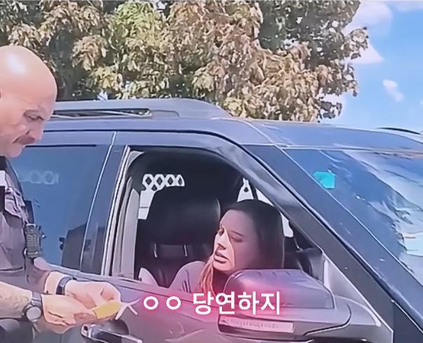 패드립아닌 경찰관의 팩트폭격