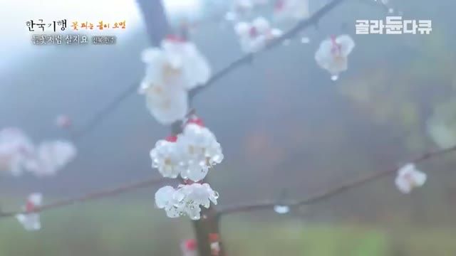 농사 짓던 남자에게 사랑에 빠진 도시 여자