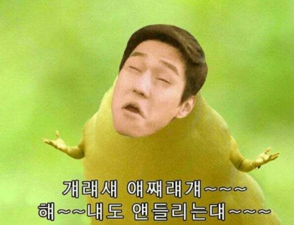 이화금류 그 만 괴롭히면 안되냐?