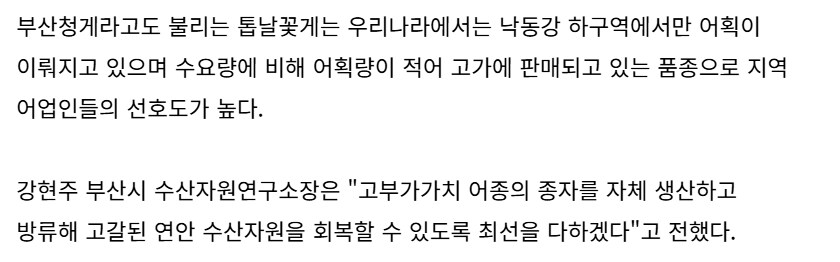 부산에 나타난 외래종 근황 ㄷㄷ