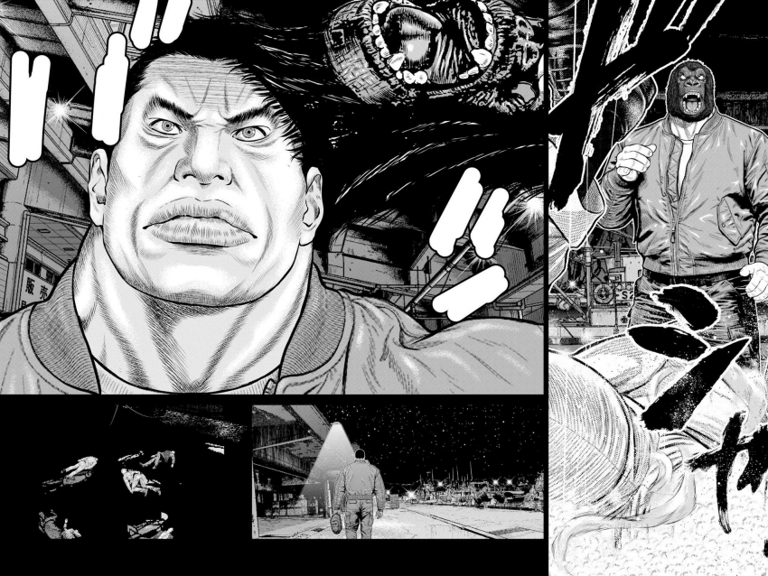 일본만화  고릴라.manhwa