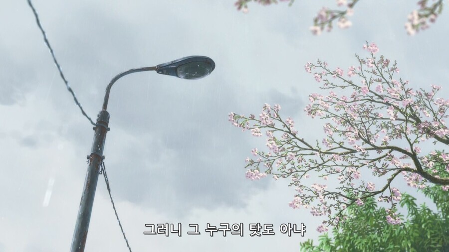 날씨의아이) 이 작품의 진정한 기적이 시작되는 순간