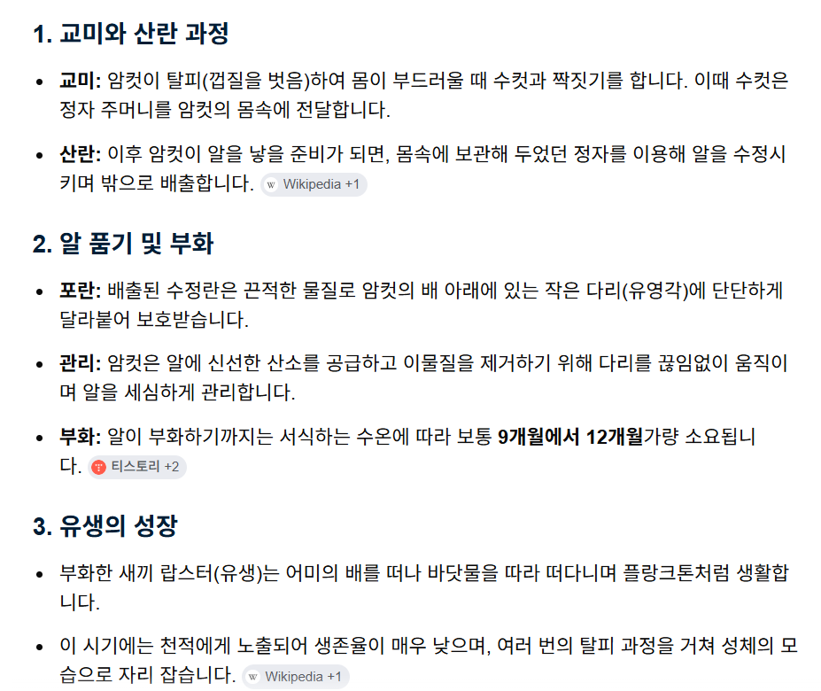 새끼 랍스터들이 어미를 떠나는 모습