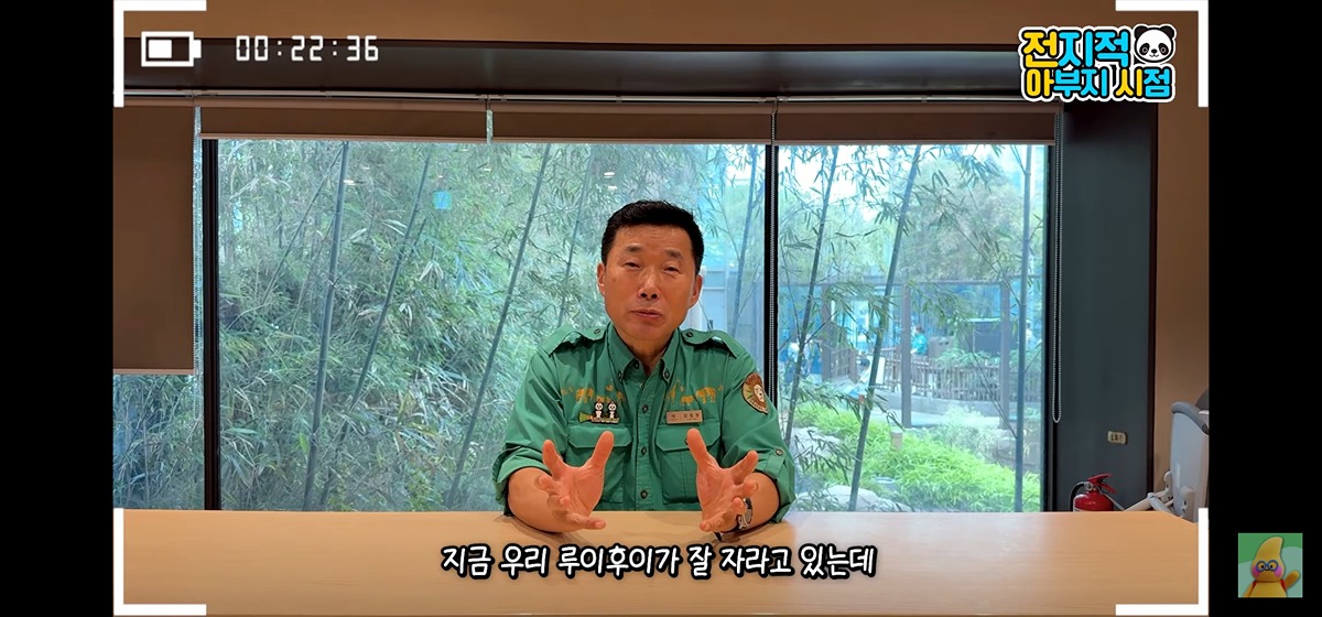 지금 <전지적 아부지 시점>에 뜬 강바오님의 루이후이 향후 소식 공지🐼🐼