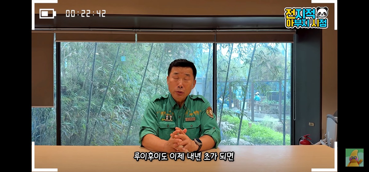 지금 <전지적 아부지 시점>에 뜬 강바오님의 루이후이 향후 소식 공지🐼🐼