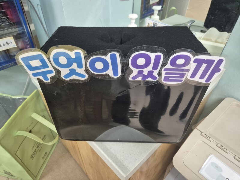 유치원 실습을 끝냈어요
