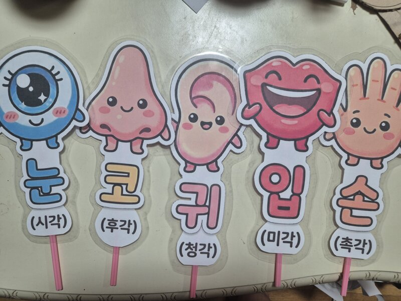 유치원 실습을 끝냈어요