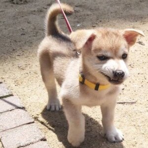 성역3 완화 할 생각하지마라