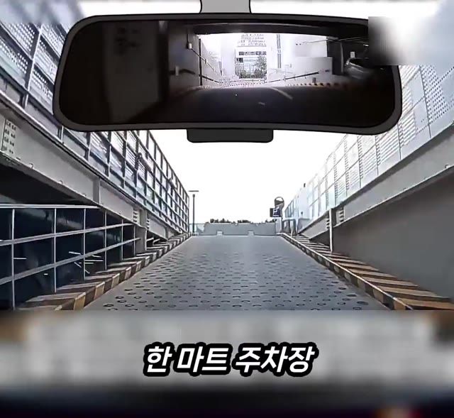 나 때문에 사고가 났다는 미친X. jpg & mp4