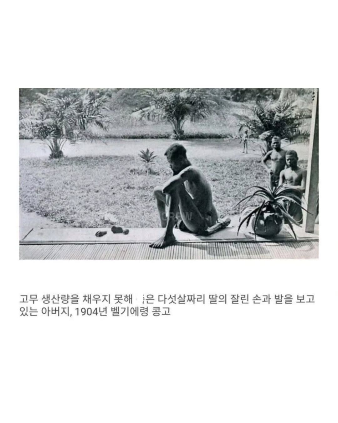 주의)벨기에 초콜릿이 유명한 이유.jpg