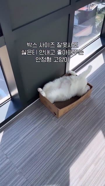 박스가 좁아도 괜찮아요