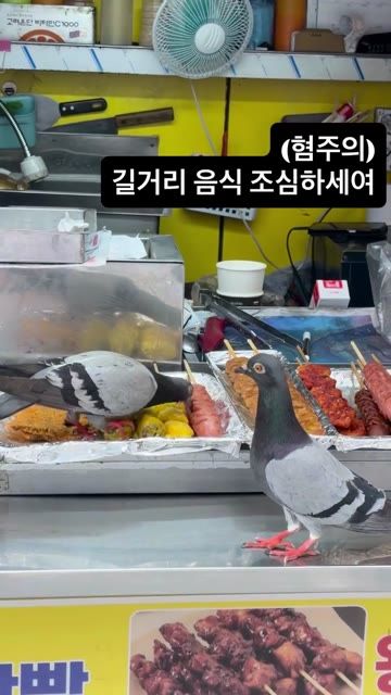 약혐)다소 충격적인 길거리 음식.mp4