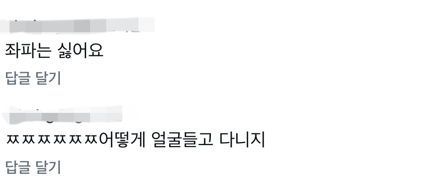 아버지 도와드린다고 극우 악플 테러 받던 아이돌 근황