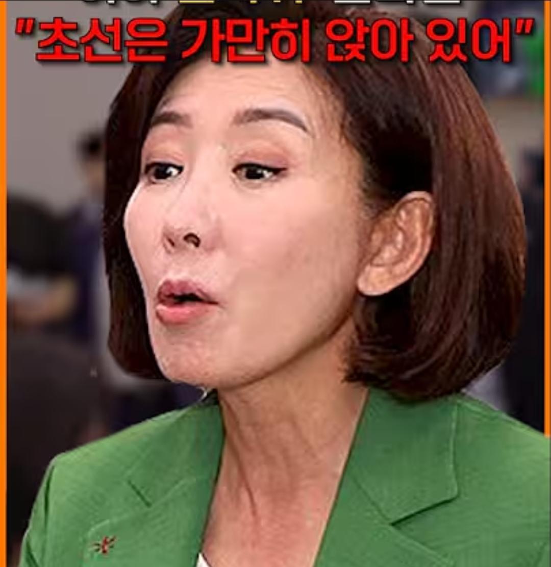 흥미진진한 개싸움 팝콘각 ㅋㅋㅋㅋㅋ