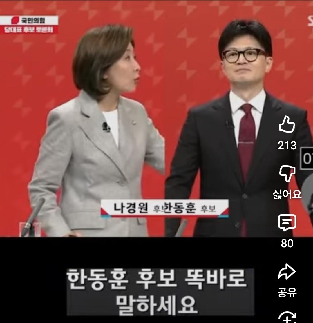 흥미진진한 개싸움 팝콘각 ㅋㅋㅋㅋㅋ