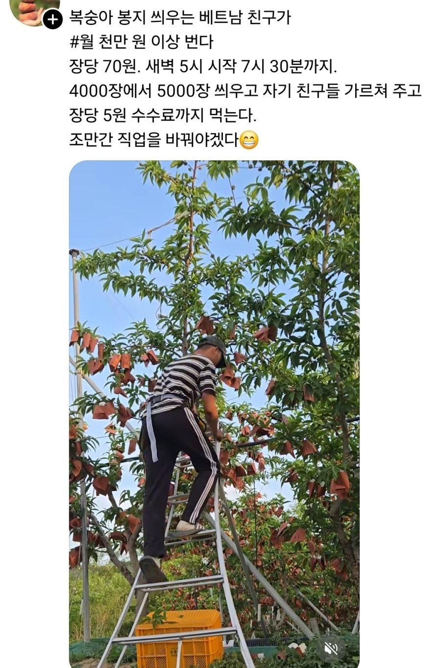 월 천만원 버는 베트남 노동자