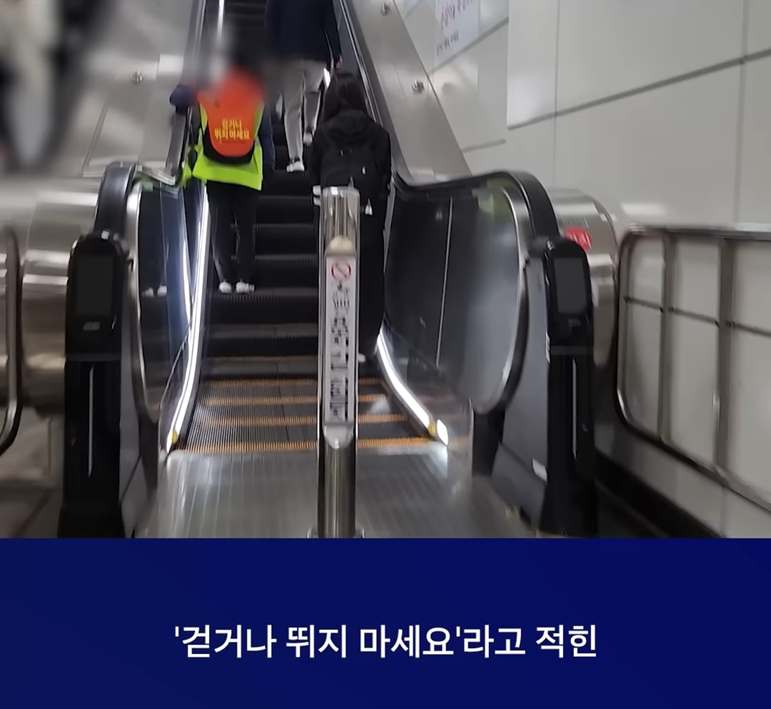 '손바닥 가방' 멘 노인들…"욕 먹어도 이게 일이라"