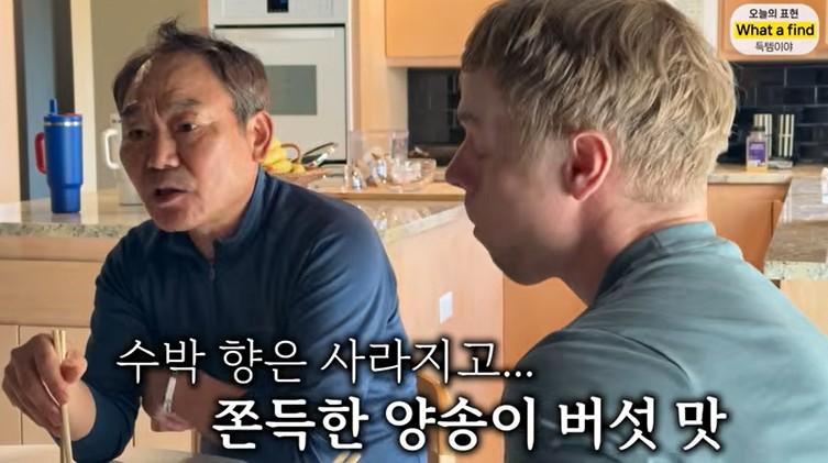 올리버샘네 진도개들 근황 jpg
