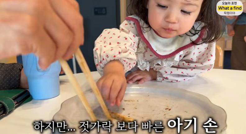 올리버샘네 진도개들 근황 jpg