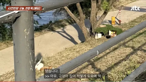 '길고양이 보살피려다 사람 잡을 뻔'…한강공원 자전거 도로 옆 '고양이집'