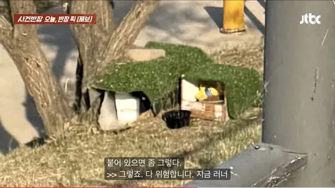 '길고양이 보살피려다 사람 잡을 뻔'…한강공원 자전거 도로 옆 '고양이집'