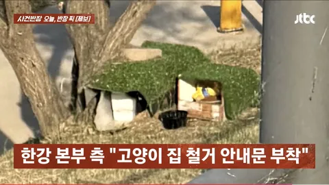 '길고양이 보살피려다 사람 잡을 뻔'…한강공원 자전거 도로 옆 '고양이집'