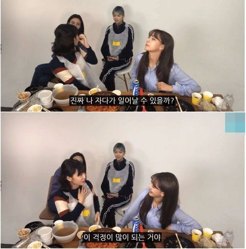 펌] 여돌들 다이어트 기간 하루 식사량