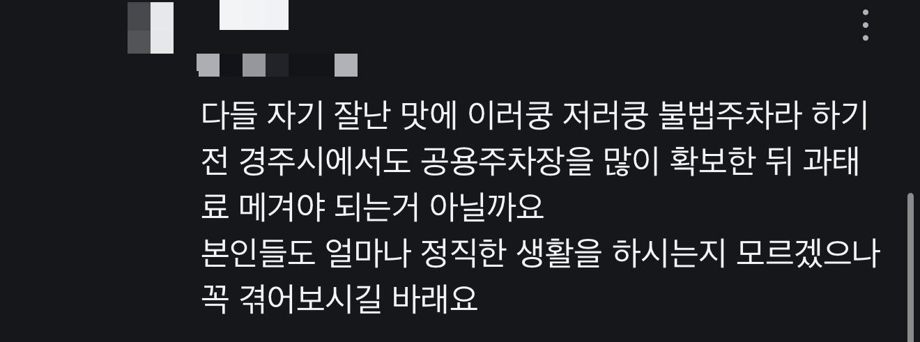 경주 그 동네 주민들의 불법주차에 대한 생각들