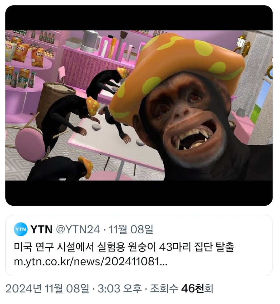 米, 원숭이 43마리 집단 탈출