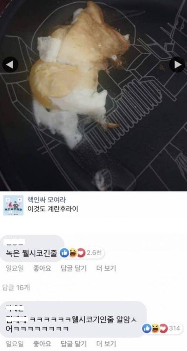 실패한 요리 사진 모음